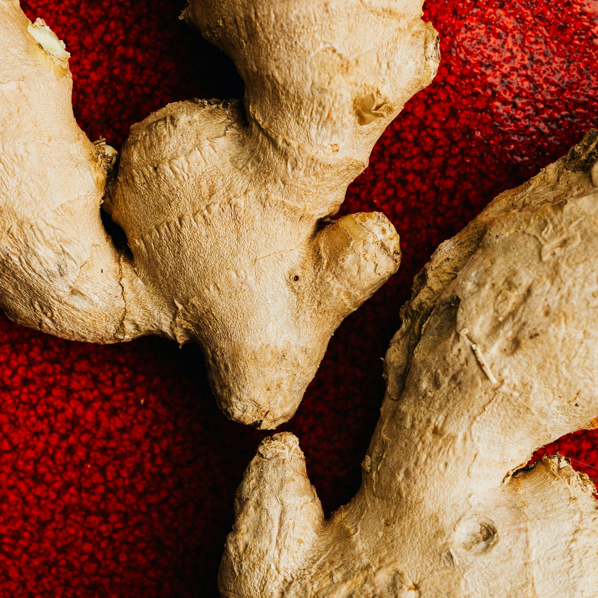 Extrait de gingembre