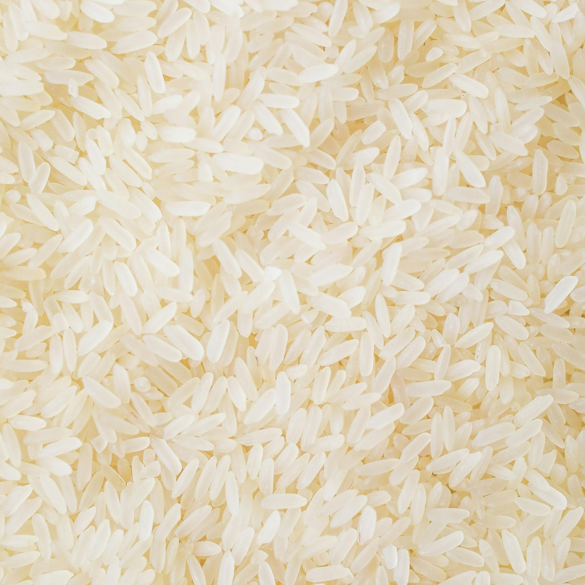 Protéine de riz